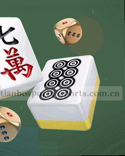绿茵场上的比赛瞬间与球员拼抢